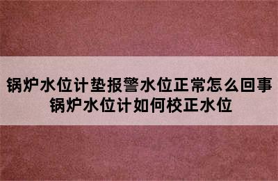 锅炉水位计垫报警水位正常怎么回事 锅炉水位计如何校正水位